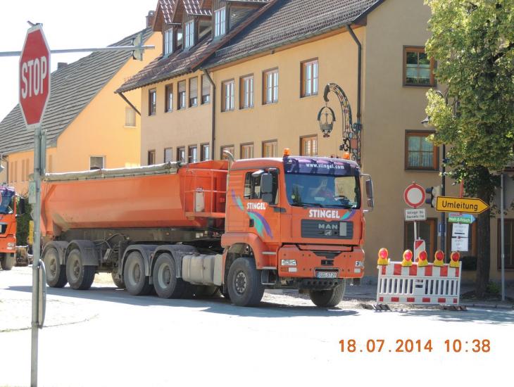 Stingel_002.JPG