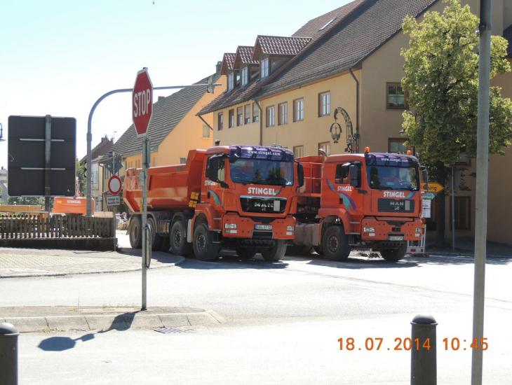 Stingel_003.JPG