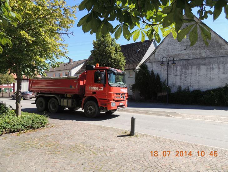 Stingel_006.JPG