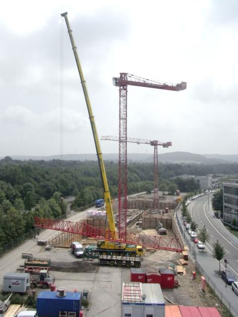 RIMG4701.jpg
