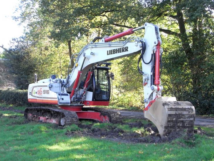RIMG5486.jpg