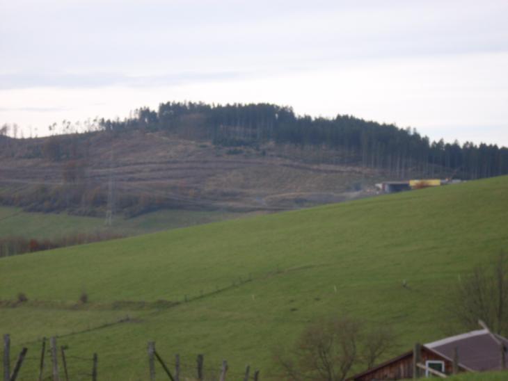 SDC13703.JPG