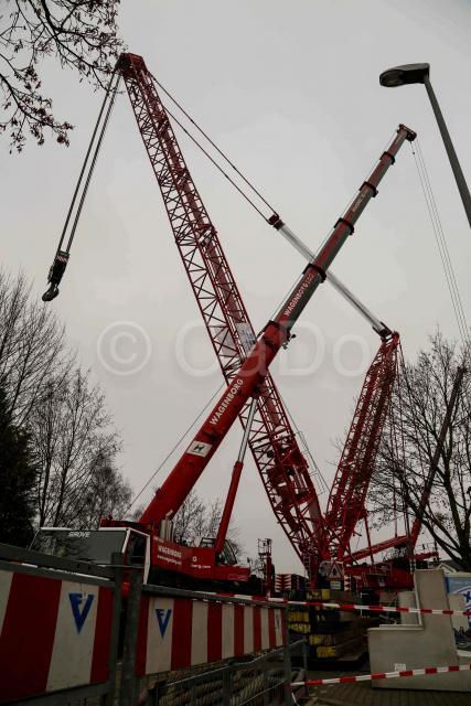 Bild_12.jpg
