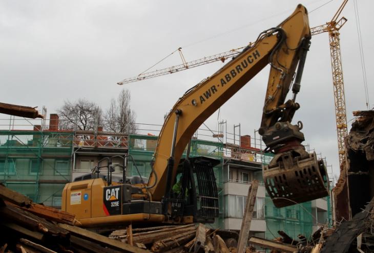 cat329e.jpg