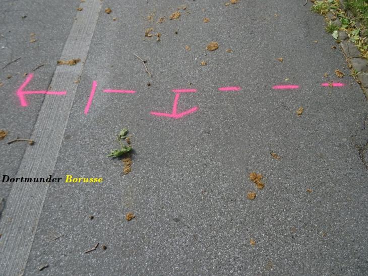 DSC01113_1_1.jpg