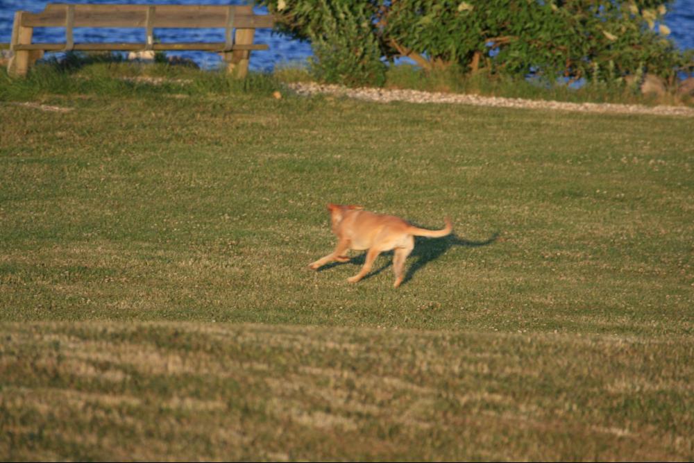 IMG_7740.thumb.JPG.d528c21f17ec24b7e505b