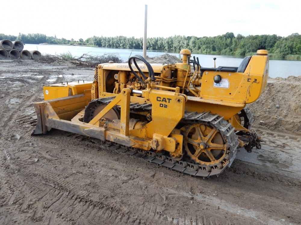 Cat D2 001.jpg