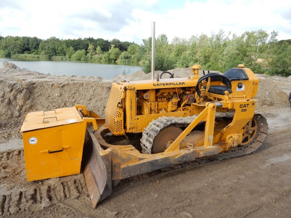 Cat D2 002.jpg