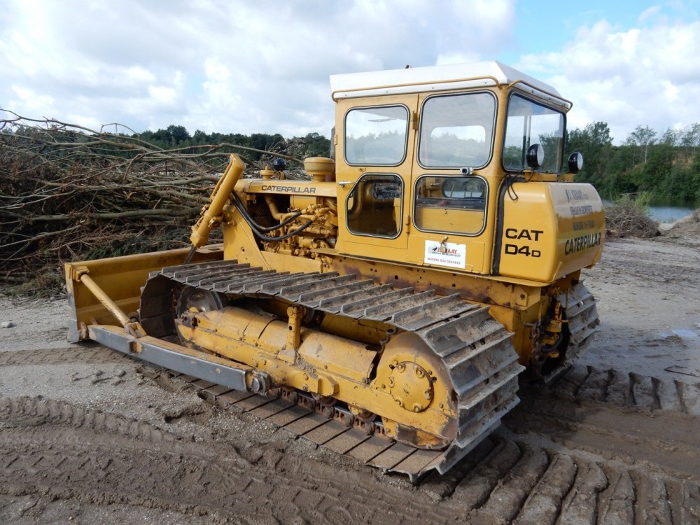 Cat D4D 001.jpg