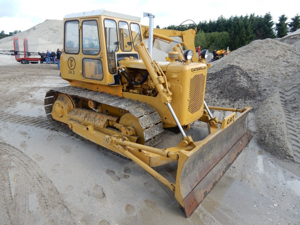 Cat D4D 003.jpg