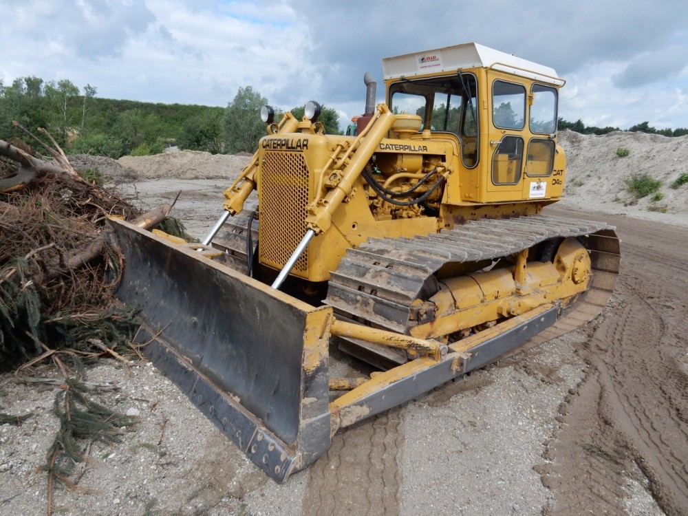 Cat D4D 004.jpg