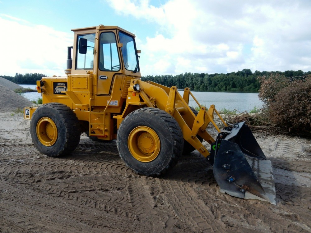 Cat 930 006.jpg