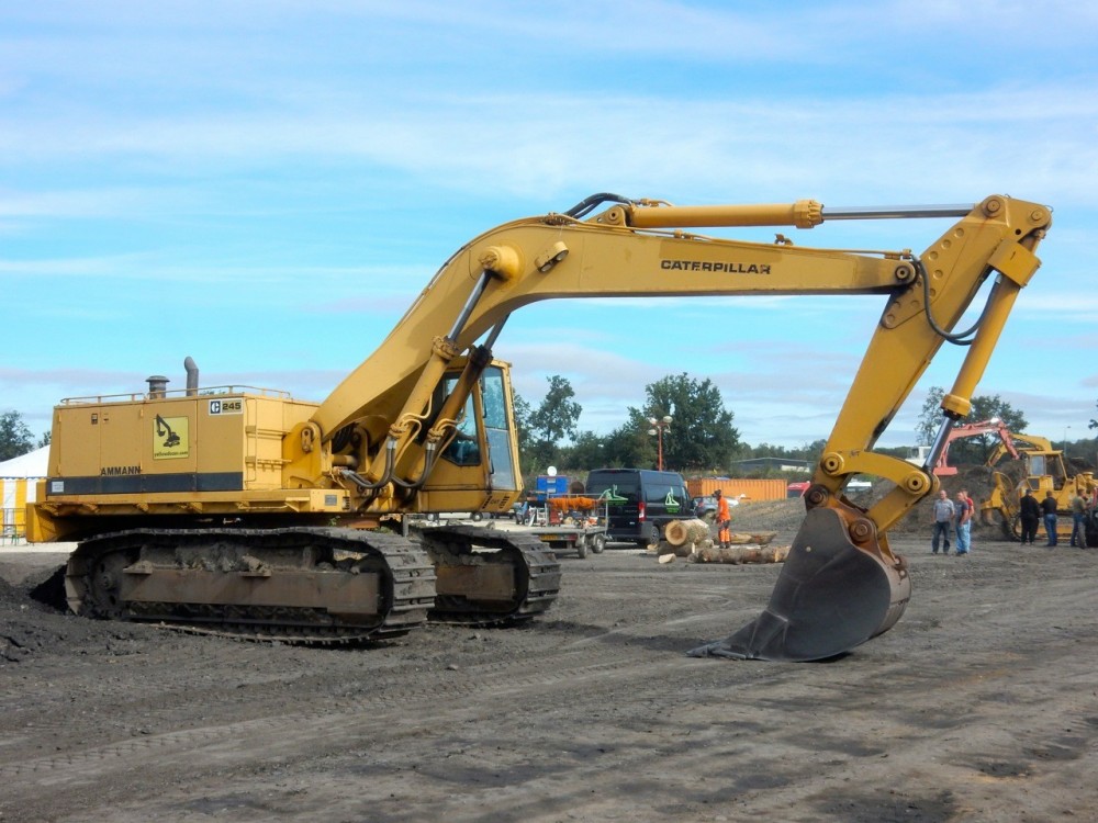 Cat 245 006.jpg