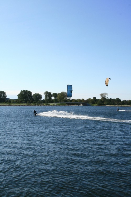 IMG_8568.JPG