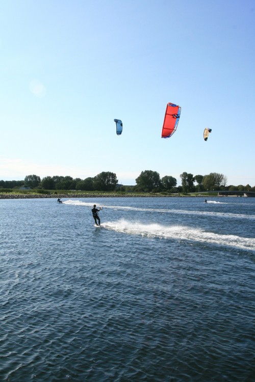 IMG_8569.JPG