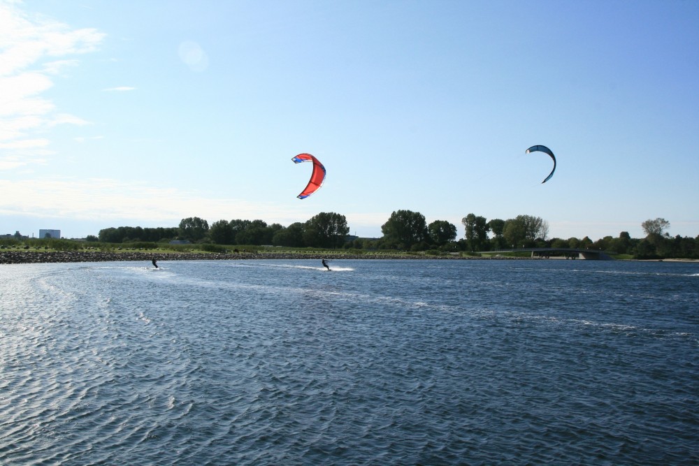 IMG_8571.JPG