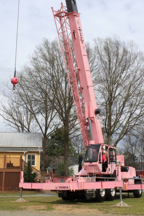 Pink Crane at Work-2016 Touch a Thon_1920.jpg