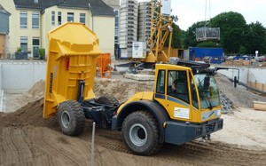 Mehr Informationen zu "Bergmann Dumper 3012 DSK"