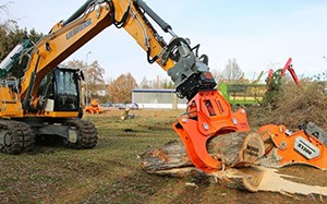 Mehr Informationen zu "Westtech Woodcracker Live-Demo"