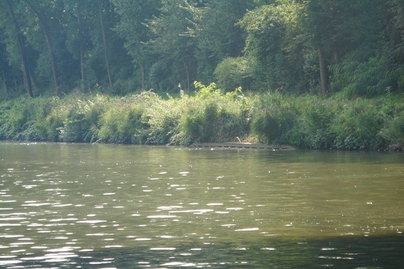 59b98d471b4d7_Mittellandkanal(1).JPG.d4611741908d5b94a4b6cfdde30e4b08.JPG