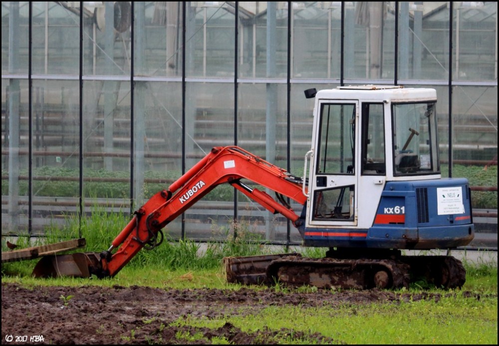 Kubota_KX61.thumb.jpg.8b4c87309379a862d5fa2354ea270e1d.jpg