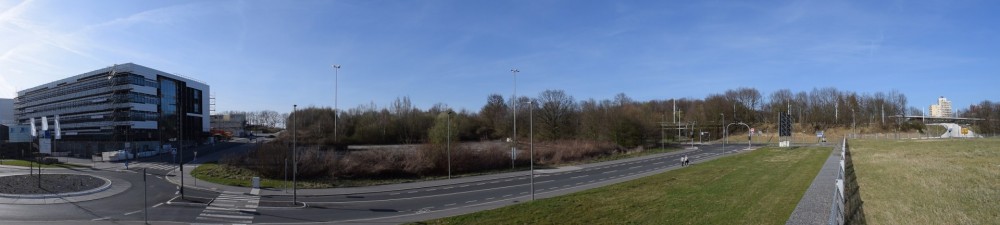 DSC_0010.JPG