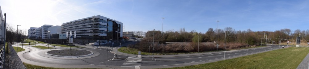 DSC_0011.JPG