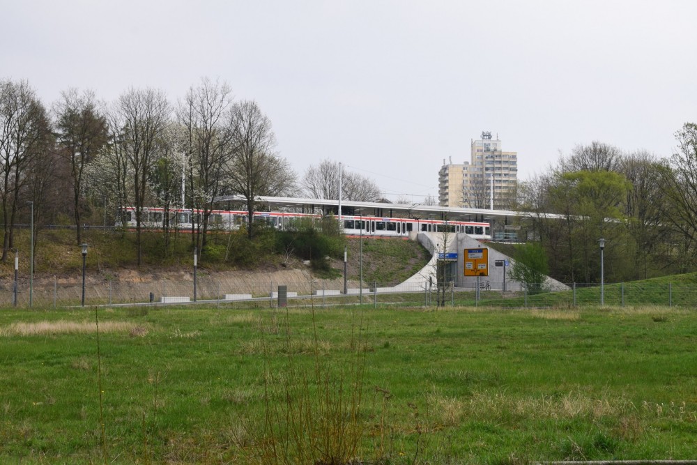 DSC_0030.JPG