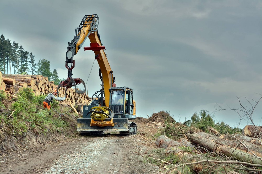 Hyundai HX235LCR Umbau für den Forsteinsatz. Foto: Thomas Firner
