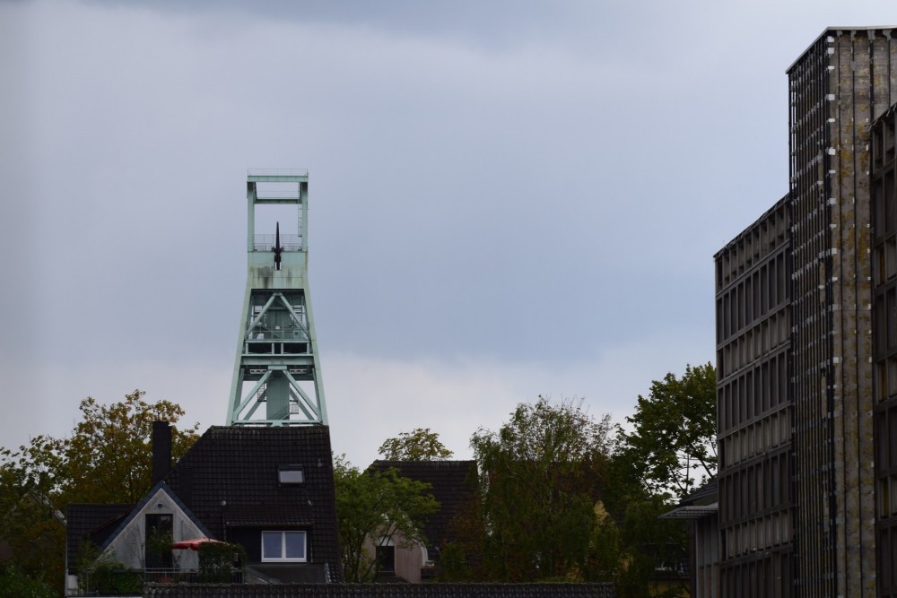 DSC_0015.JPG