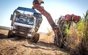 Mehr Informationen zu "Mercedes-Benz Axor"