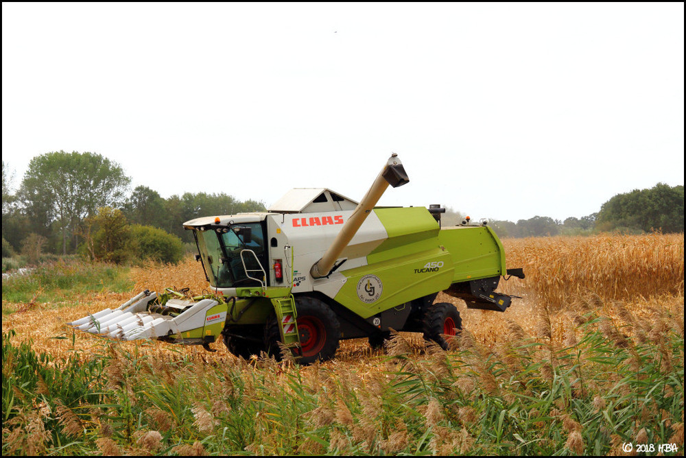 Claas_Tucano450_1.thumb.jpg.ac225377a5d58b7cd014679626346170.jpg