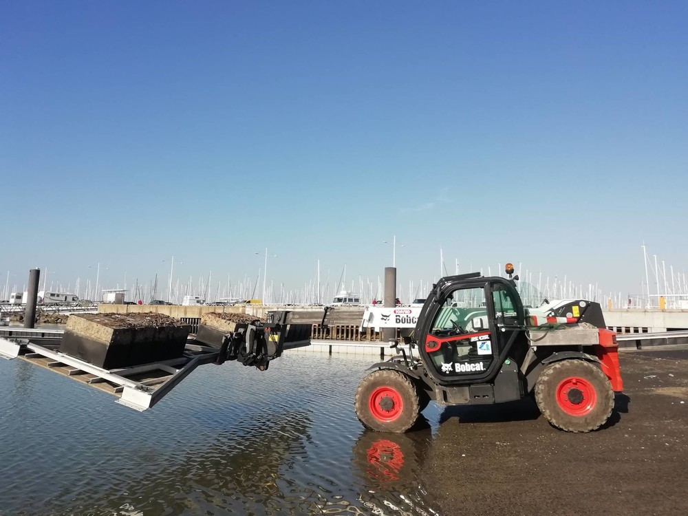 5. BOBCAT @ PORT DE LA ROCHELLE - Dez 2018_1920.jpg