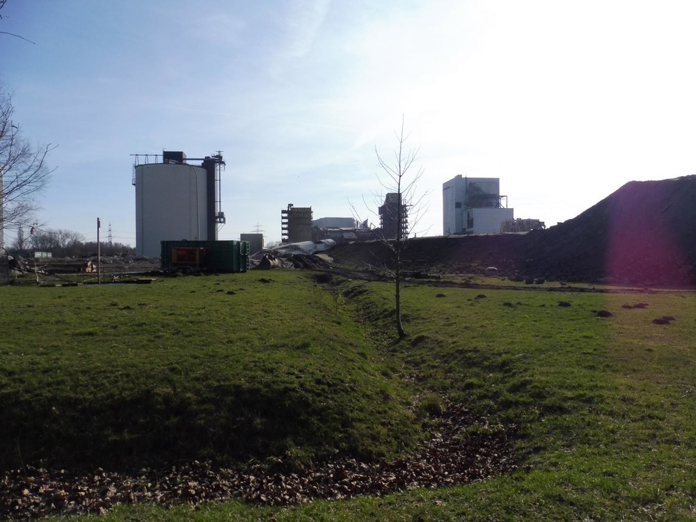 P1020194.JPG