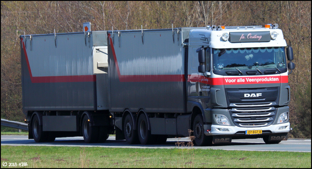 DAF_XF106_Niederlande.thumb.jpg.6beaba5ae17e6dfa6b72129375eeae3c.jpg