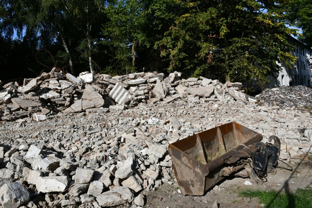 DSC_7419.thumb.jpg.d64ab460a6756dfe0f9f5e22ac940d85.jpg