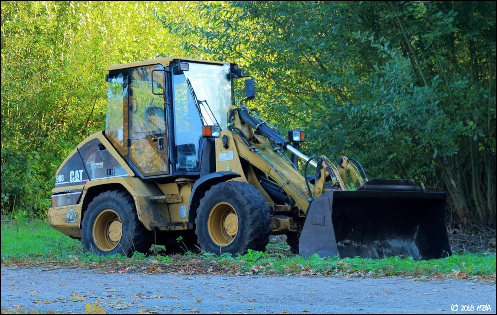 Caterpillar_908_Stadtpark1.thumb.jpg.1d685f446da6af6f0ced24e306a895b4.jpg