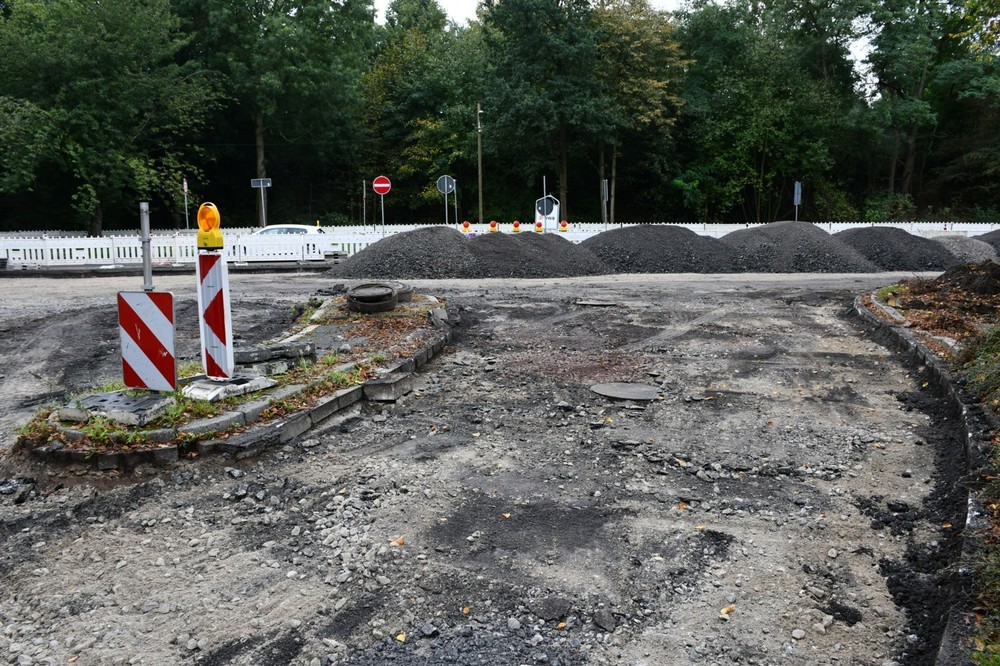 DSC_8075.thumb.jpg.de86d81482ccb33b71a7924a516f6d8d.jpg