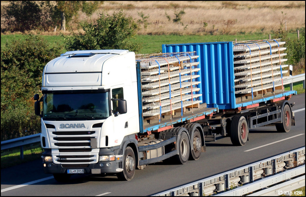 Scania_R420_Fertigbeton.thumb.jpg.743143eb3dd29939bd2147327a8b9059.jpg