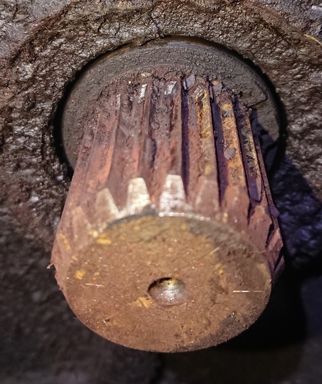 Resizer_16033931347830.JPG