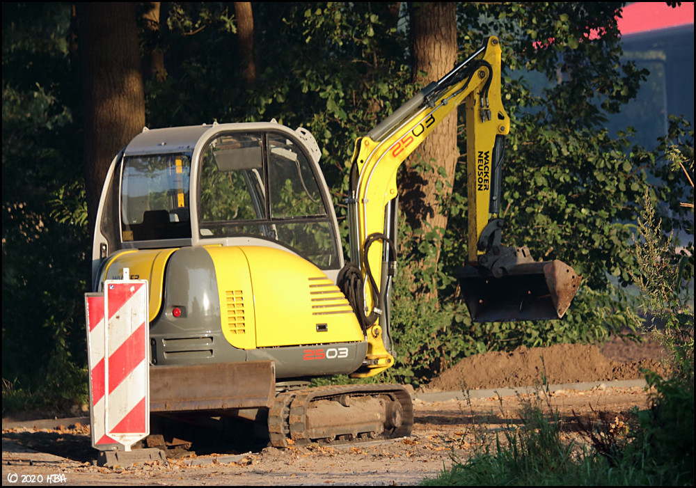 Wacker_Neuson_2503.thumb.jpg.0aff4d009a0ccf07ec2ebd852d80bef8.jpg