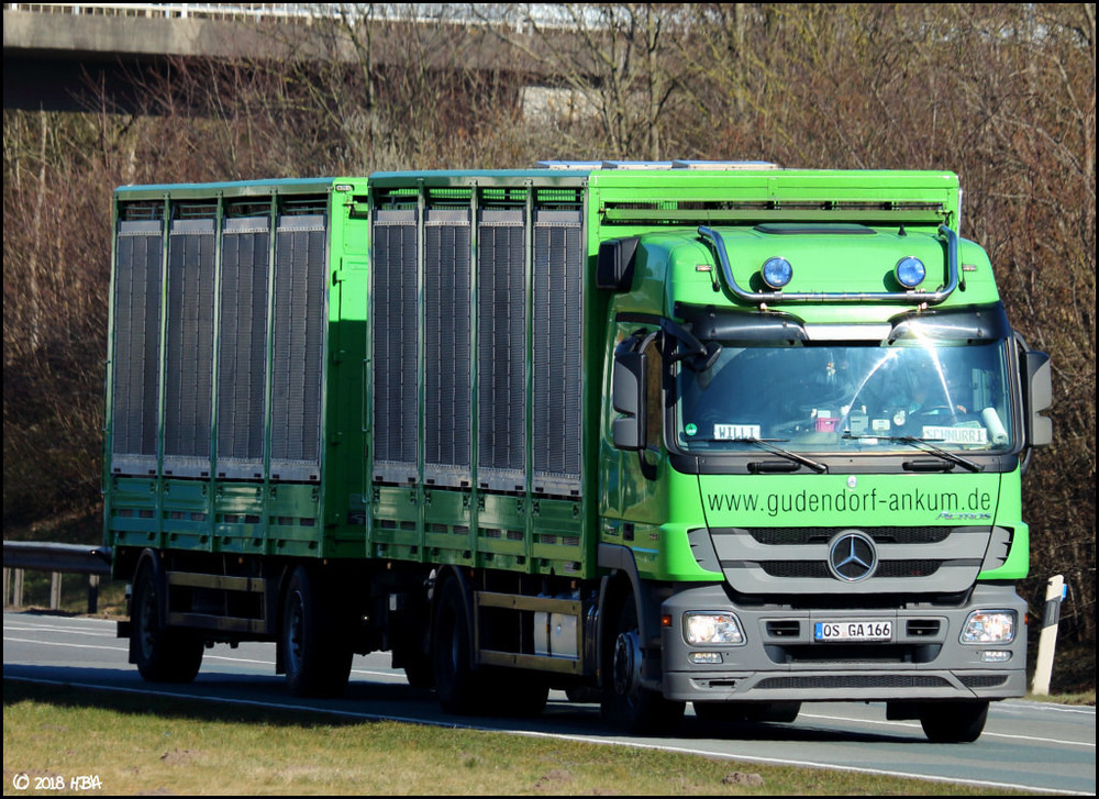 Mercedes_Actros3_1841_Tiertransport.thumb.jpg.5ac40f282cc7cefe12331cbecdf3549c.jpg