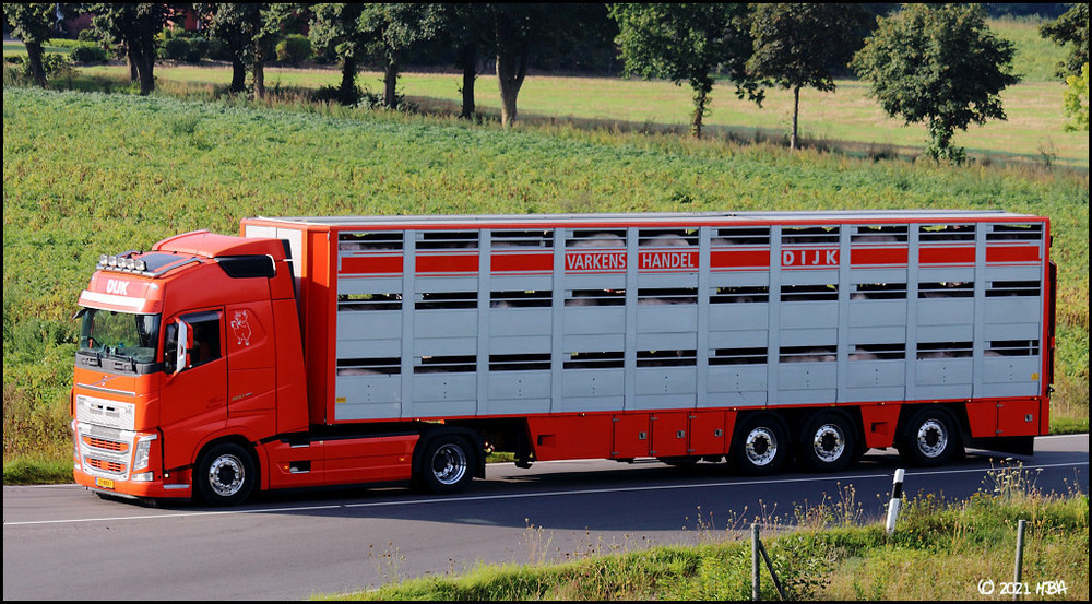 Volvo_FH460_Tiertransport_Niederlande.thumb.jpg.bb11f4b3cb59c023dbf61bc93468c179.jpg