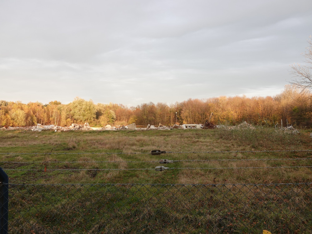 2067353011_SteagLnen10_11.2021-006.thumb.jpg.94b7b30e82ce0d954e944b1987829c57.jpg