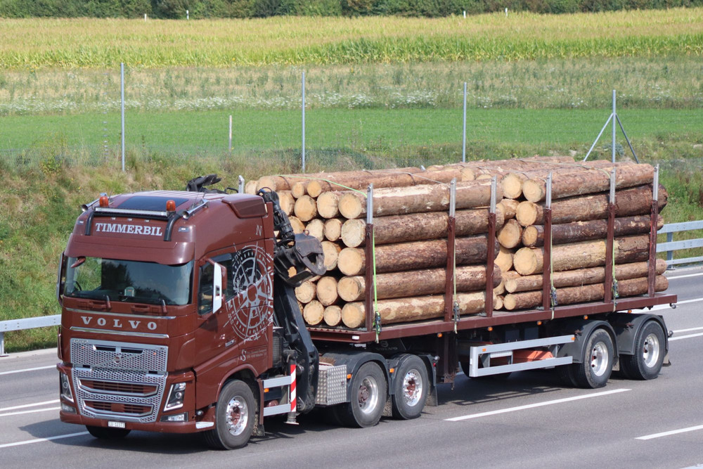 Volvo FH4 750 Szm 6x2 mit Kran+Pritsche Otto Husmann Transporte Schachen.JPG