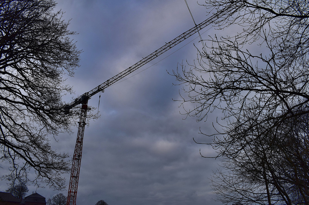 DSC_0076.JPG