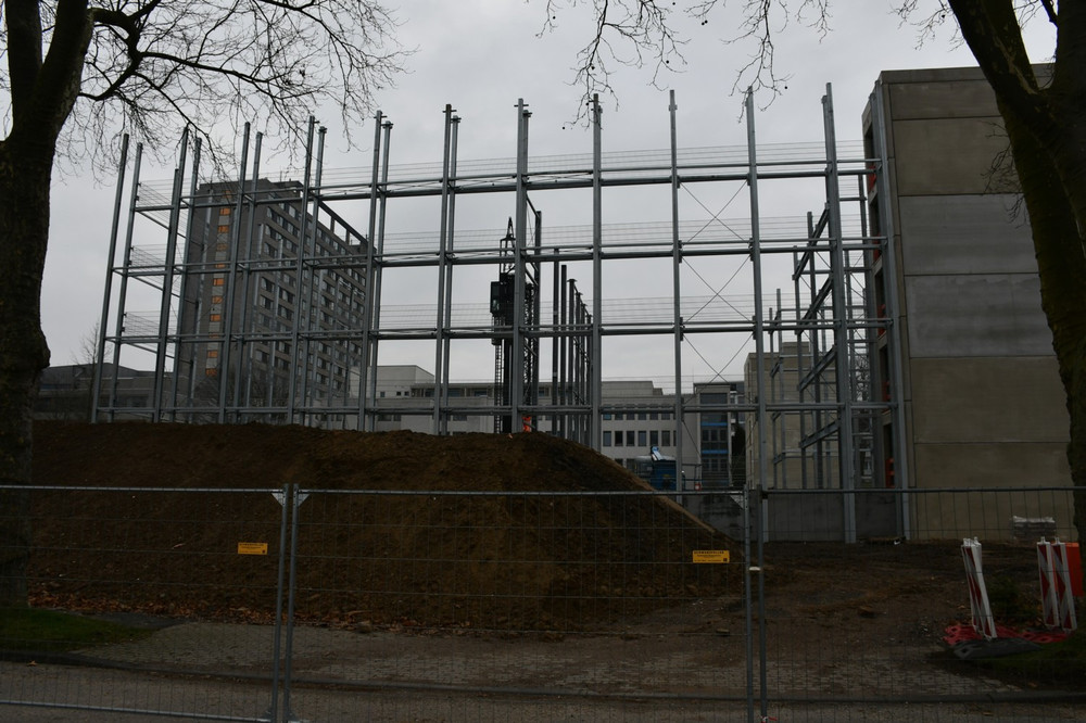 DSC_5993.thumb.jpg.48a5dfdab8811a74e44b2a5db97f3cbe.jpg