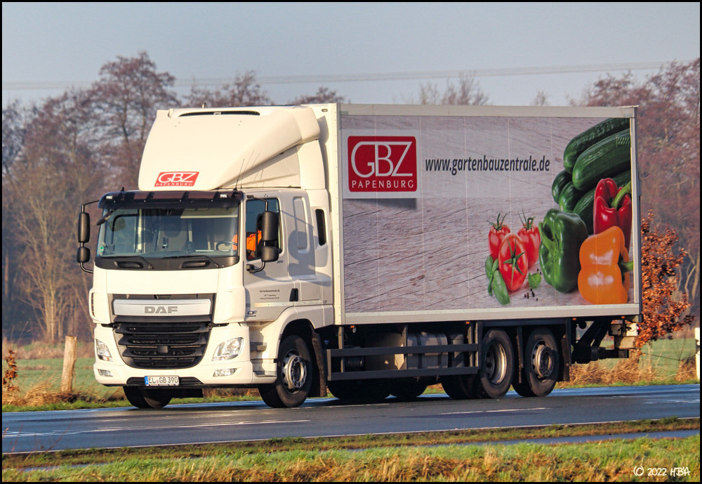 DAF_CF530_E6_GBZ.thumb.jpg.affb5169a41eaef85eaa94011204f5ac.jpg