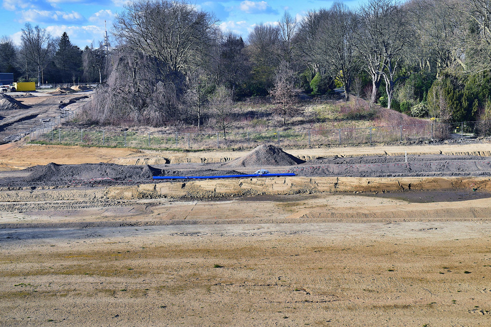 DSC_0014.JPG