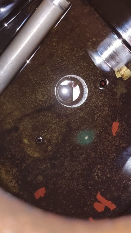 20220516_093607.jpg